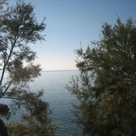 Apartman Sea Drasnice